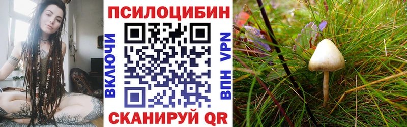 Псилоцибиновые грибы ЛСД  Купить где  Жуковский 